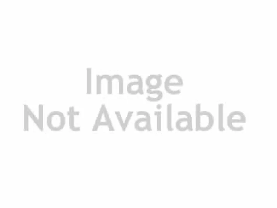 Flash Sale Earth Animal No-Hide Venison Stix Chew Dog Treat, 1 Count (**)