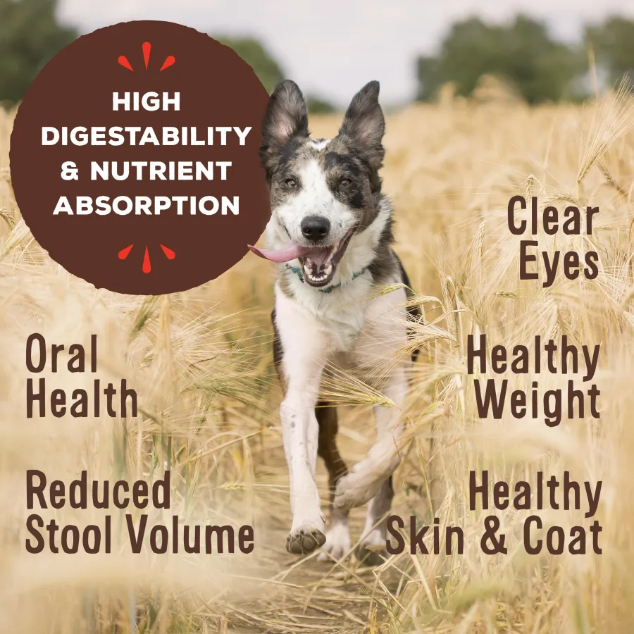 Discount Primal Pet Foods Primal Chicken Formula Patties Raw Frozen Dog Food, 6-lb