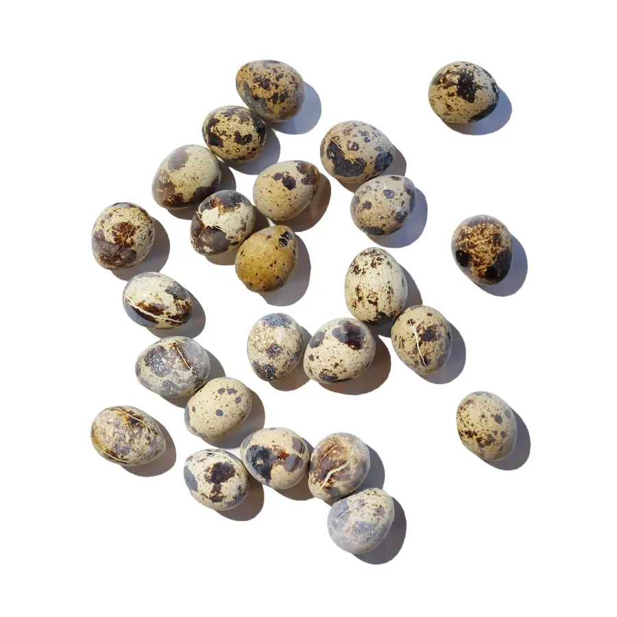 New Savage Cat Food Quail Eggs Frozen Snacks for Dogs & Cats, 9-oz, 24-count